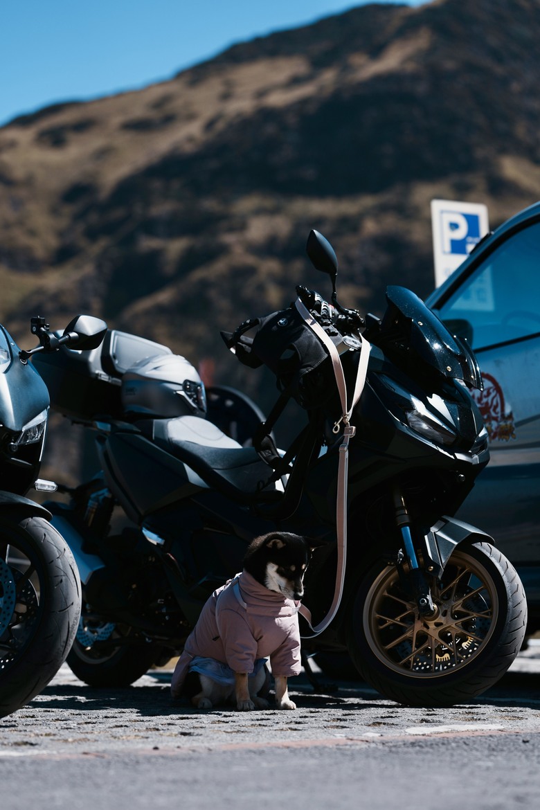 Honda・ADV350|過年開工前騎上台灣最高點:一日武嶺達成
