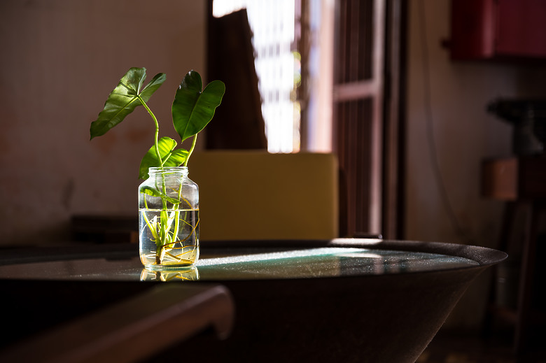 點我看大圖 【檳城故事&怡保情緣】第一次的東南亞行