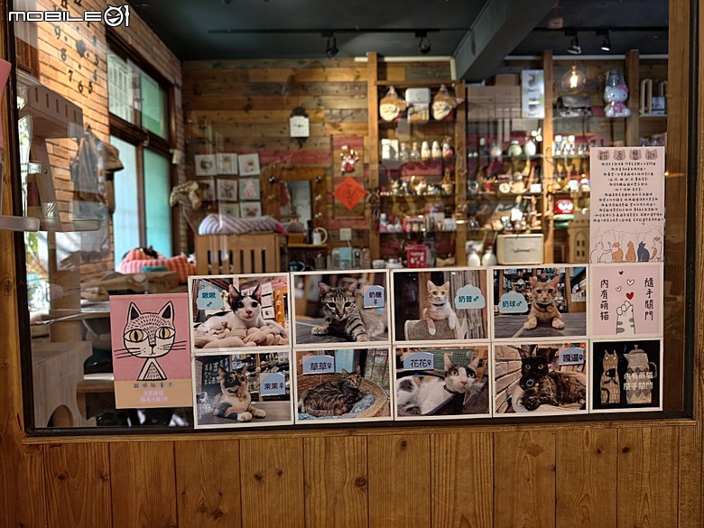 【小惡魔驫到成功】黃金海岸、漁光島、原臺灣總督府專賣局臺南支局鹽埕分室，到漫漫弄吸貓 — 2026年新年走春 第三站