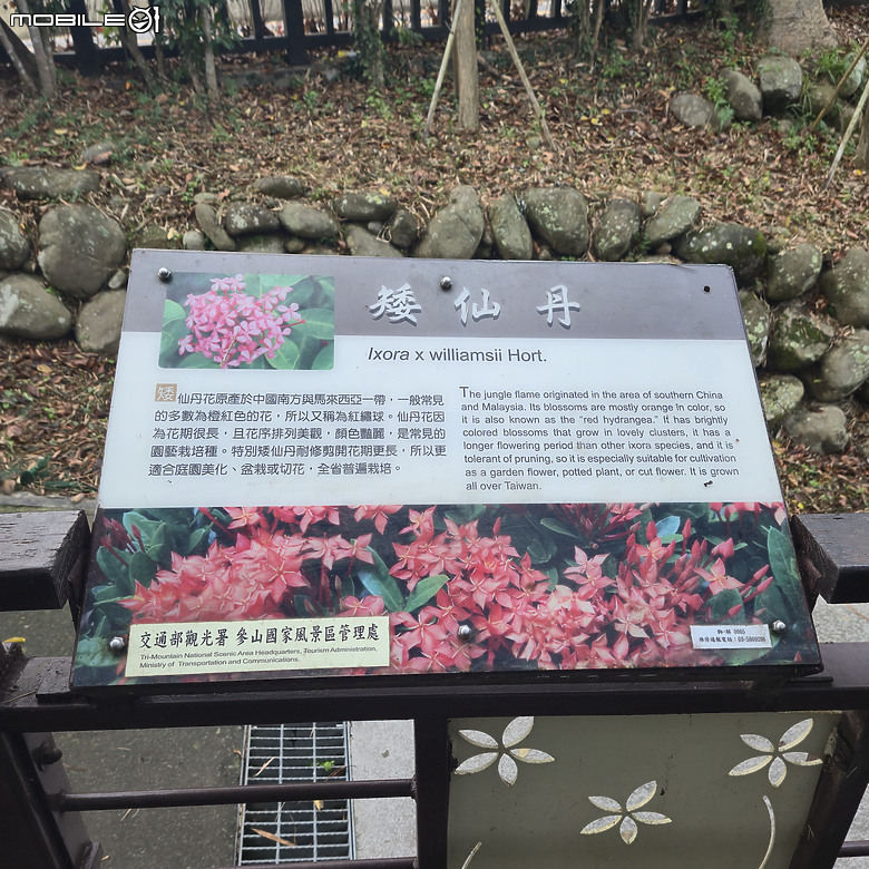 【健行】被譽為「新竹版日月潭」的峨眉湖，走了趟環湖步道，但是...!