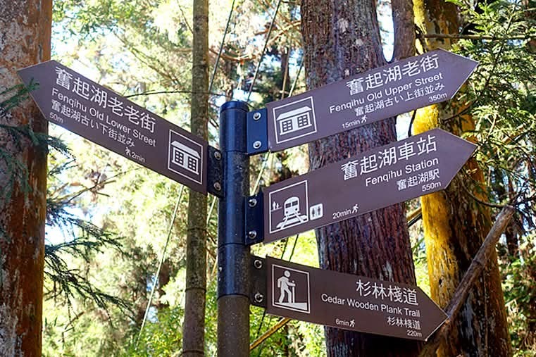 【小惡魔驫到成功】嘉義奮起湖丨杉林棧道:銀髮族也能輕鬆走