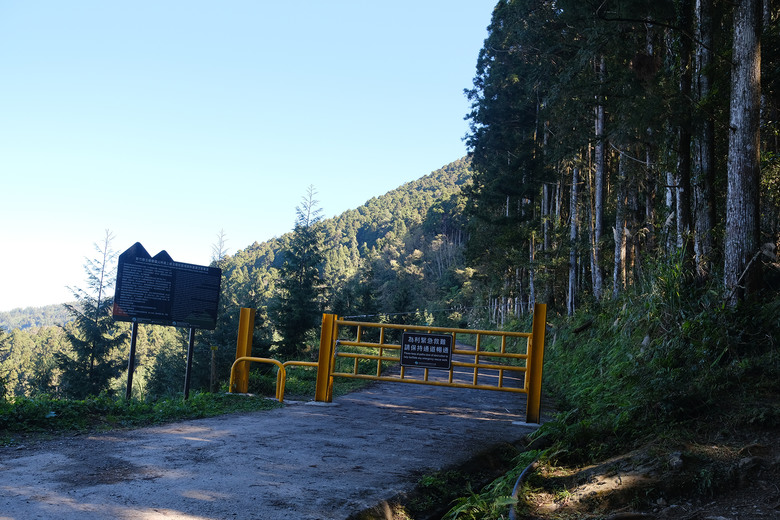 【油羅山】一座可以治癒人心靈的山 | 新竹羅山林道