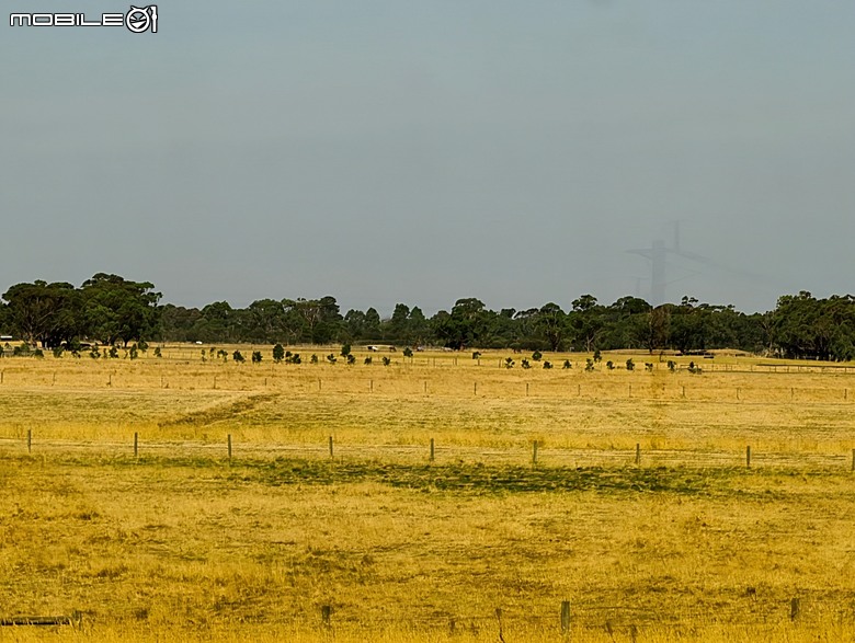 墨爾本近郊之菲利普島(Phillip Island)企鵝歸巢(Penguin Parade)、普芬比利鐵路(Puffing Billy)古董蒸汽火車，附掛旅途中的用餐與沿路風景 — 2026東澳洲四大城巡遊之墨爾本段 第1部