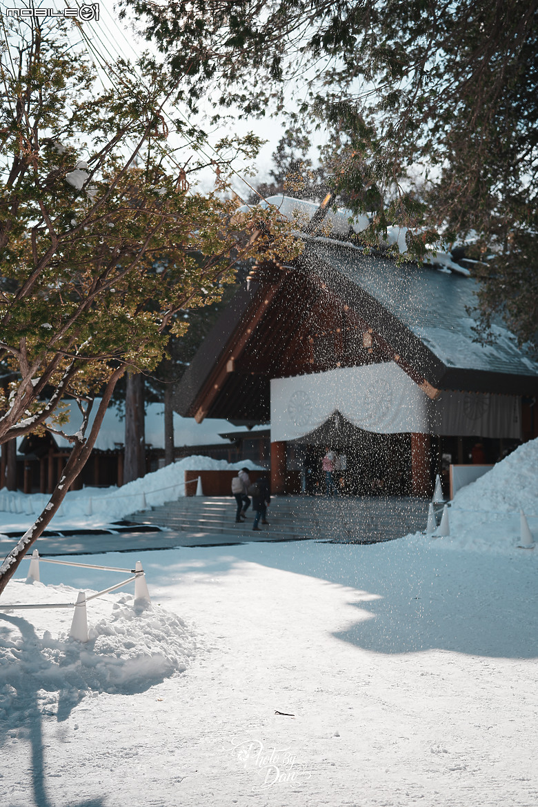 點我看大圖 A7V 北海道旅遊 札幌雪祭 小樽雪燈之路【多圖】