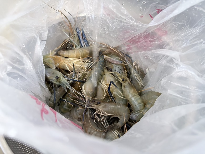 【小惡魔驫到成功】2026 無馬元素之除夕動手做料理