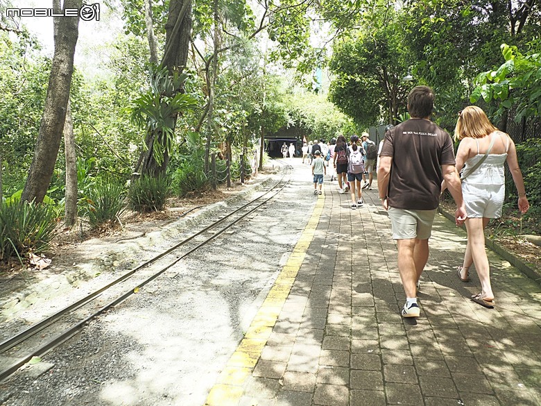 黃金海岸之庫倫濱野生動物園 (Currumbin Wildlife Sanctuary)、伯利角沙灘 (Burleigh Beach Cove)、大嘴鳥餵食秀(Pelican Feeding),附掛澳式炸魚餐與越南河粉料理 — 2026東澳洲四大城巡遊之黃金海岸段 第1部