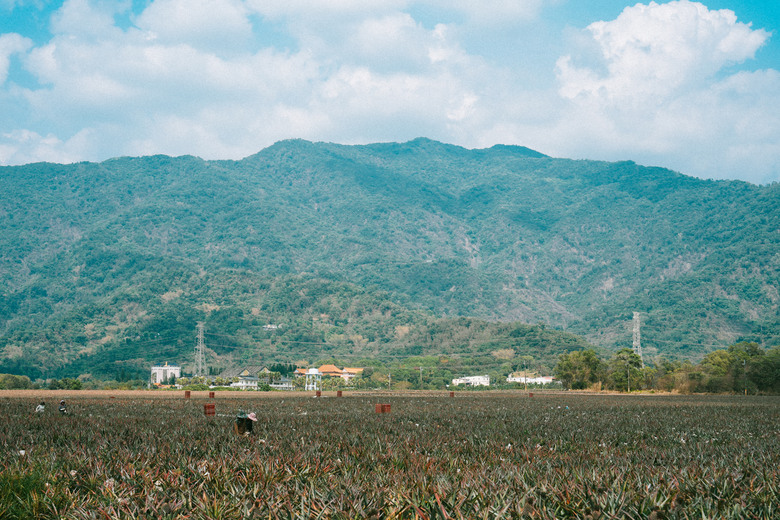 久違的白牌小旅行 屏東山海日歸吃喝路線