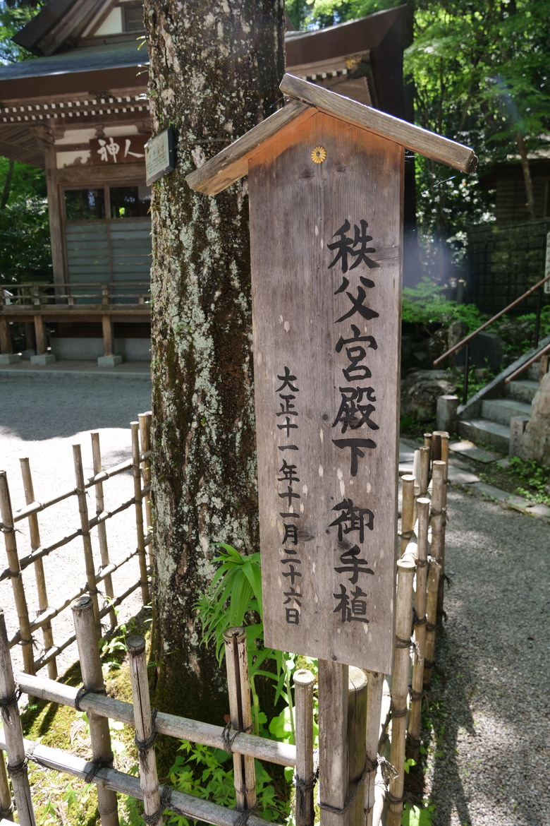 秩父旅遊 第二天