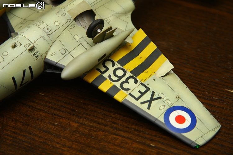 [模型製作記] 英國海鷹式戰鬥機 Hawker Sea Hawk 1/48