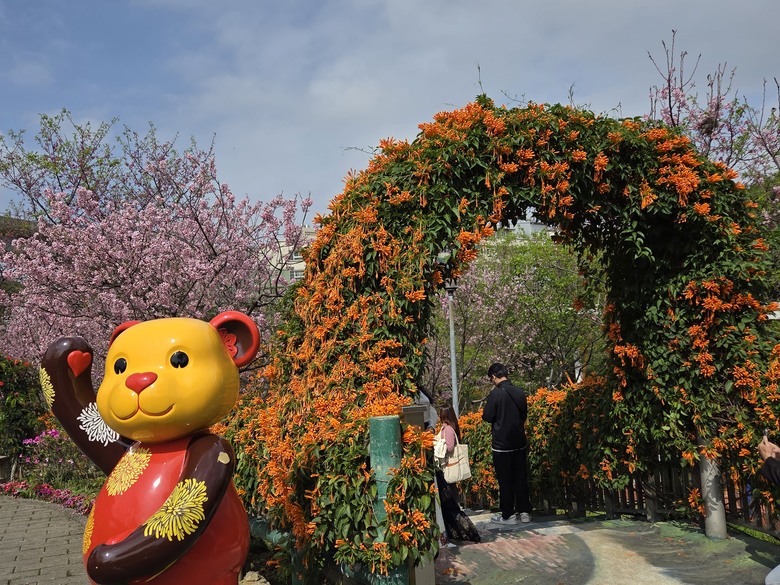 2026 鶯歌永吉公園：盛放的炮仗花瀑布！沉浸式春日散步，直擊橘色花海與 3D 彩繪牆