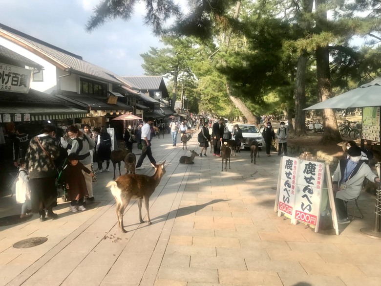 長輩的第一次日本關西五天四夜小包團旅遊