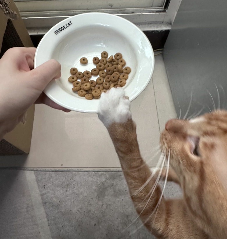 原來吃對飼料很重要…