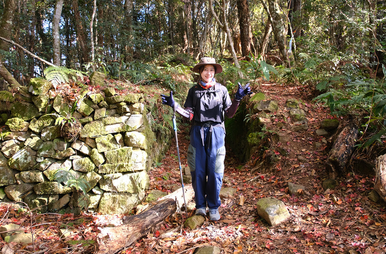 【芝虎縱走】滿山楓紅與砲台遺址的饗宴 |芝生毛台山 | 虎禮山