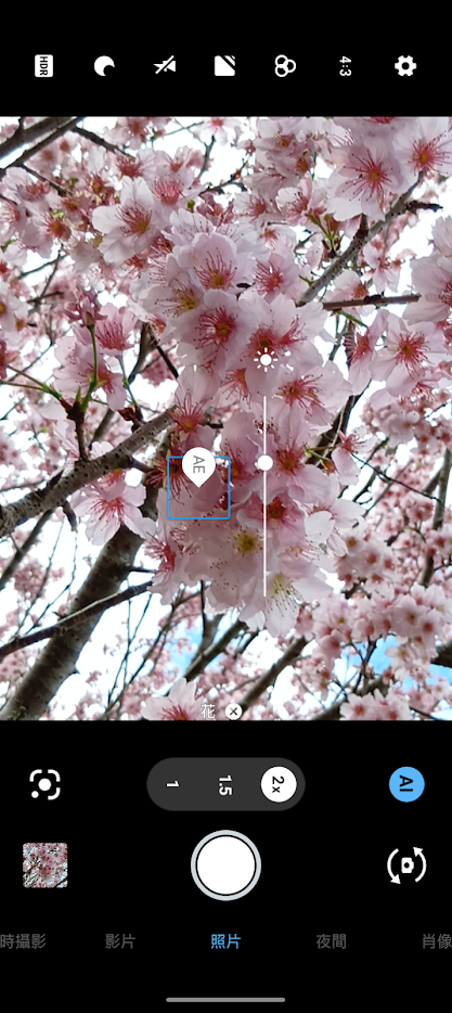 SHARP wish5s新機開箱,和櫻花很搭的曜米金