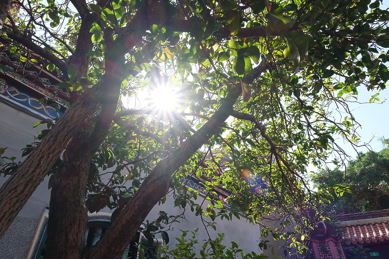 Sigma 15mm F1.4 DC Contemporary 評測報告｜黃金視角與極致輕巧的完美結合 ft. X-E5