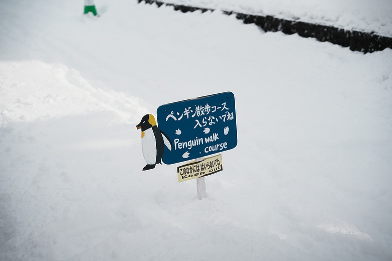 2026 北海道12天小蜜月 (中)『美瑛 & 旭川自駕遊』