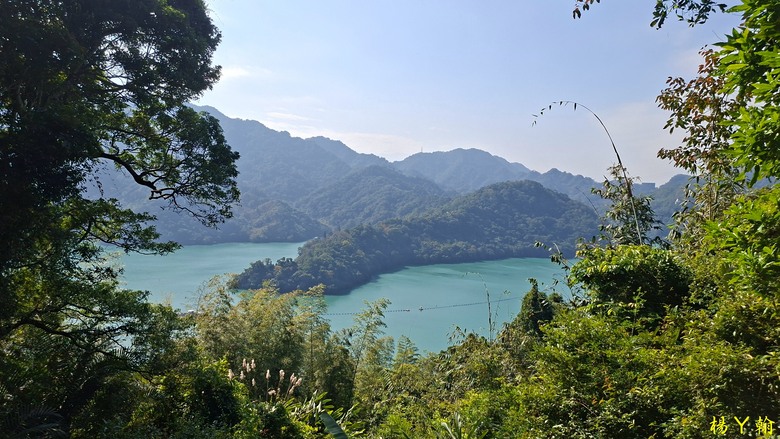 【台灣小百岳】溪洲山、 新溪洲山、大溪月眉落羽松正當時