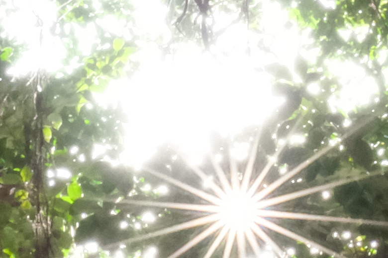 Sigma 15mm F1.4 DC Contemporary 評測報告｜黃金視角與極致輕巧的完美結合 ft. X-E5