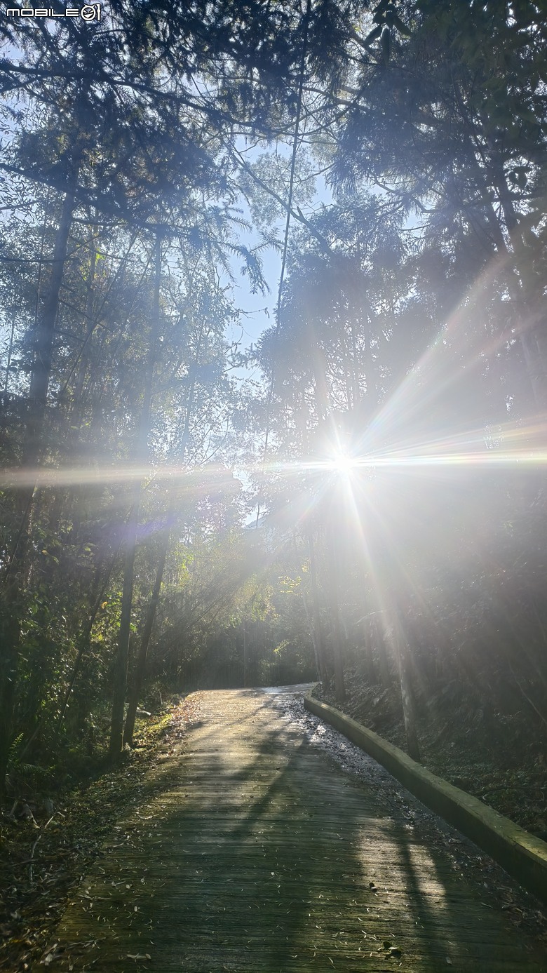 新竹冷門登山路線 | 滿滿竹林 |鬼澤山