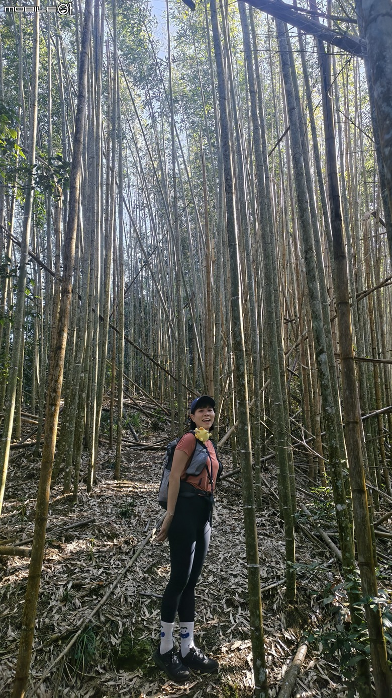 新竹冷門登山路線 | 滿滿竹林 |鬼澤山