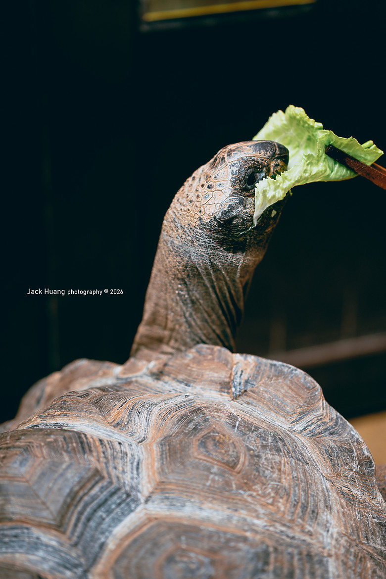 拍鳥成就解鎖好地方 蘭陽動植物王國