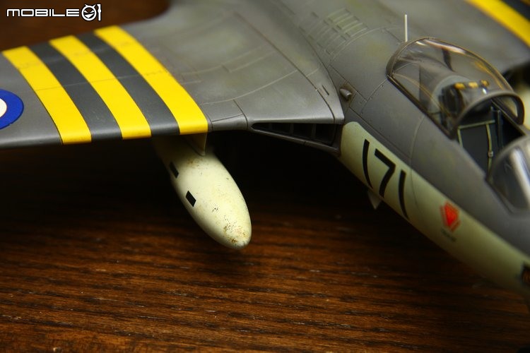 [模型製作記] 英國海鷹式戰鬥機 Hawker Sea Hawk 1/48