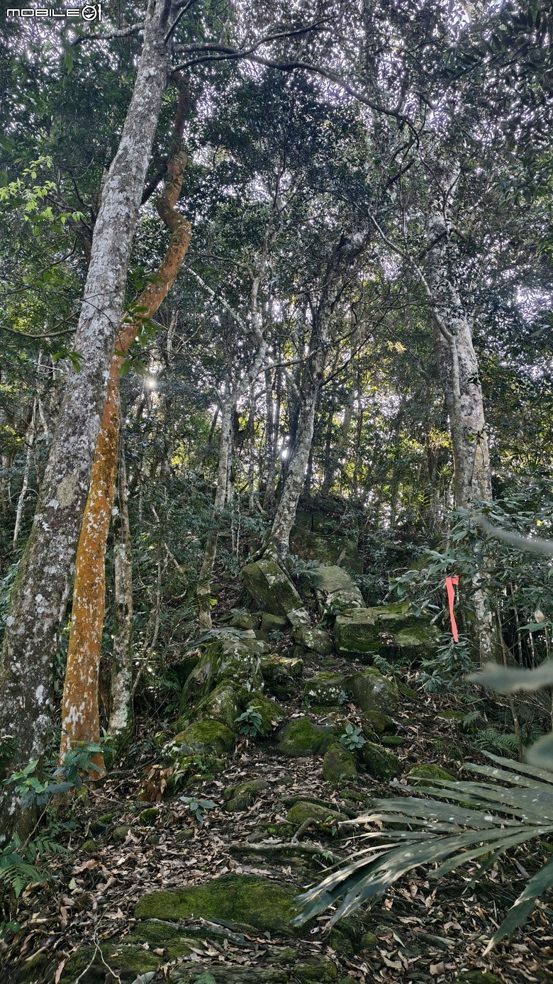 新竹冷門登山路線 | 滿滿竹林 |鬼澤山