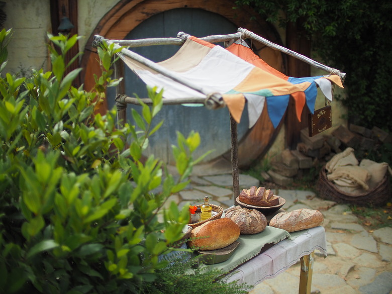 M43散景之瞳－Speedmaster 25mm f0.95 with EM10-iii 紐西蘭哈比屯開箱