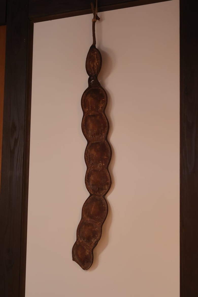 【遊記】一場不同於高山的林業文化之旅，日據時期到民國的演變，羅東林業文化園區 ｜ 大漠國渡