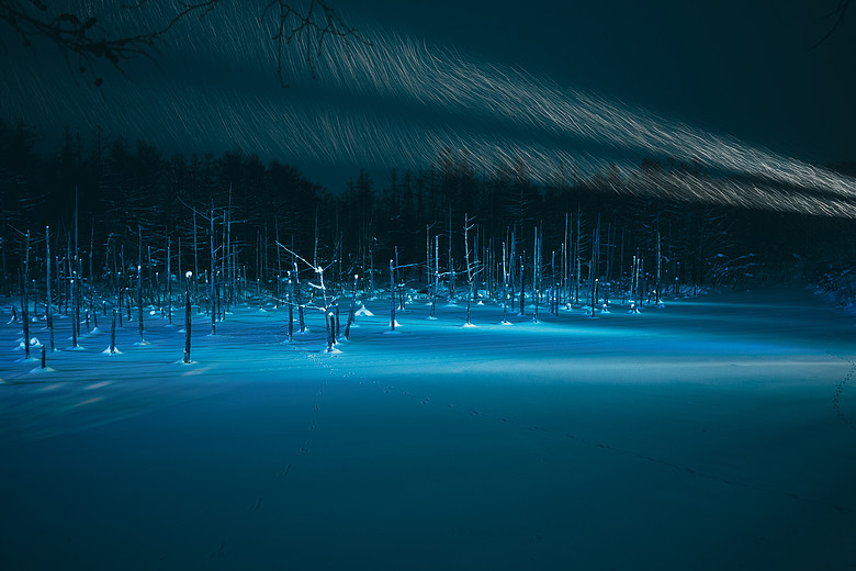 2026 北海道12天小蜜月 (中)『美瑛 & 旭川自駕遊』