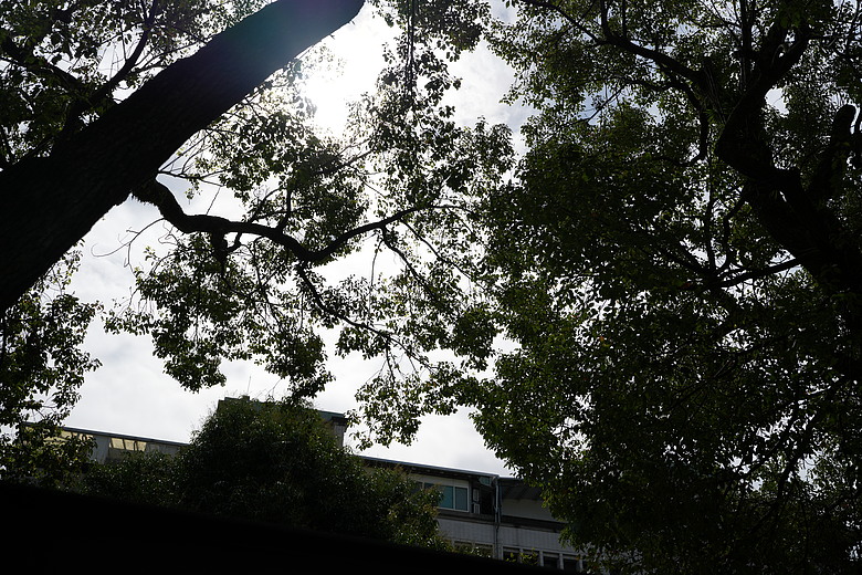 Sigma 35mm F1.4 DG II Art 評測報告｜輕量化有感、更有光學硬實力！