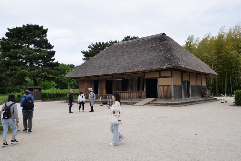 国営ひたち海浜公園 足利花卉公園 一日雙園行