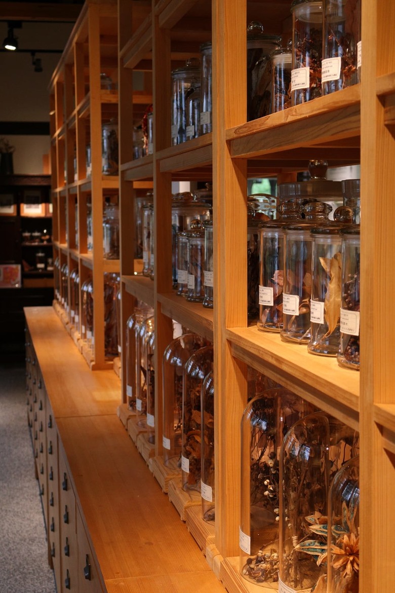 【遊記】一場不同於高山的林業文化之旅，日據時期到民國的演變，羅東林業文化園區 ｜ 大漠國渡