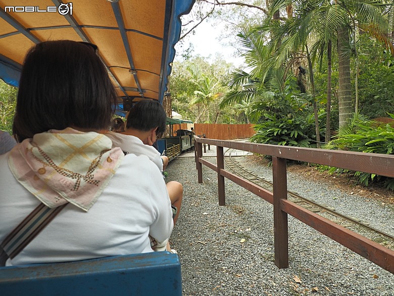 黃金海岸之庫倫濱野生動物園 (Currumbin Wildlife Sanctuary)、伯利角沙灘 (Burleigh Beach Cove)、大嘴鳥餵食秀(Pelican Feeding),附掛澳式炸魚餐與越南河粉料理 — 2026東澳洲四大城巡遊之黃金海岸段 第1部