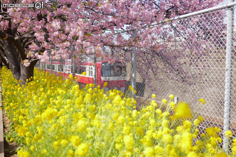 徠卡 Leica SL3 的日本東北之旅