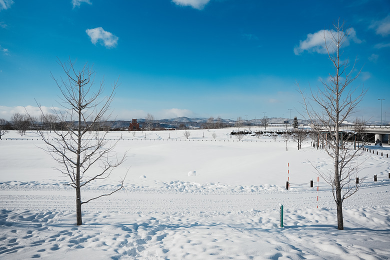 2026 北海道12天小蜜月 (中)『美瑛 & 旭川自駕遊』