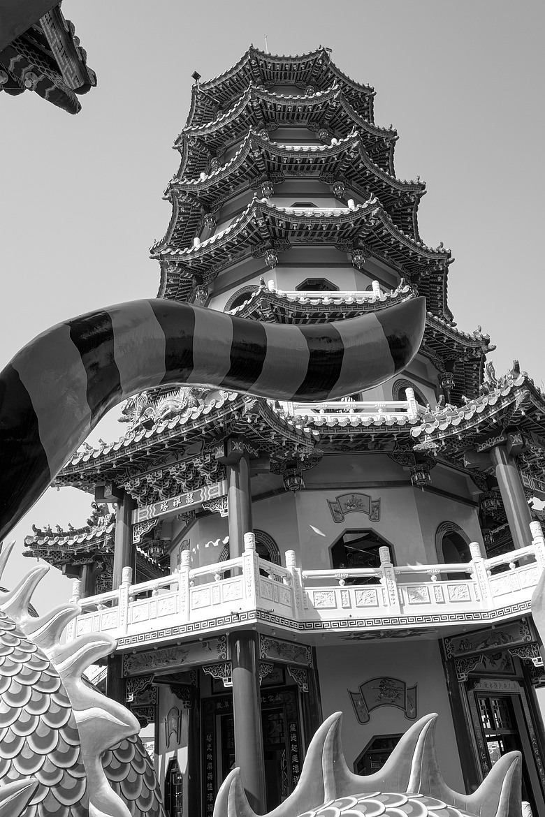 點我看大圖 GR IV Monochrome 開箱文 有捨,才有得