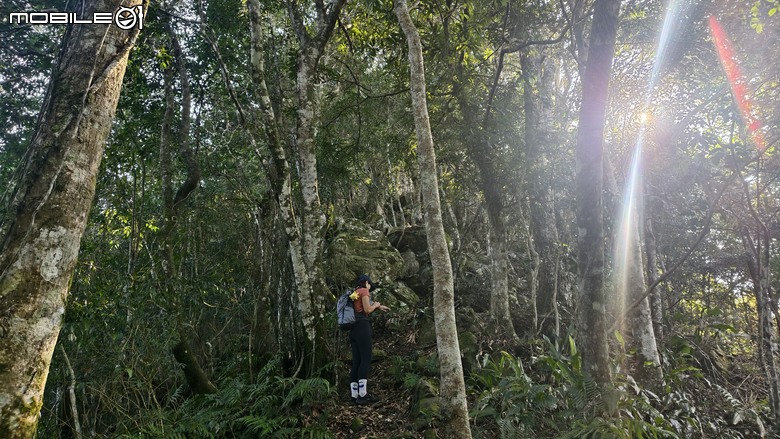 新竹冷門登山路線 | 滿滿竹林 |鬼澤山