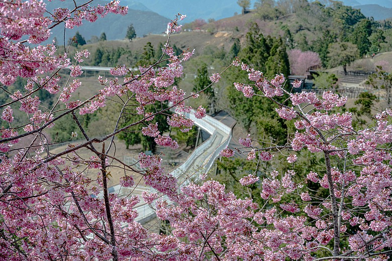 小旅行 with Nikon ZR