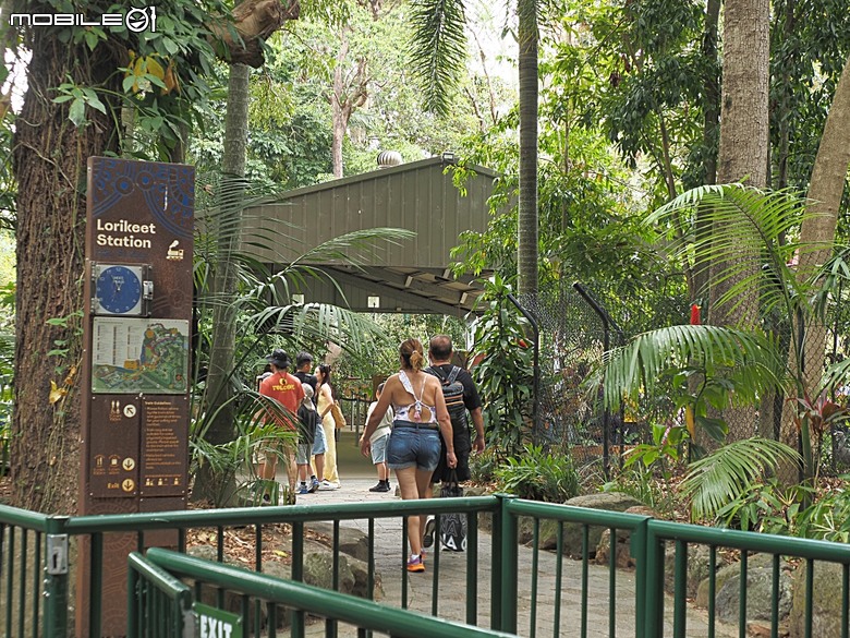 黃金海岸之庫倫濱野生動物園 (Currumbin Wildlife Sanctuary)、伯利角沙灘 (Burleigh Beach Cove)、大嘴鳥餵食秀(Pelican Feeding),附掛澳式炸魚餐與越南河粉料理 — 2026東澳洲四大城巡遊之黃金海岸段 第1部