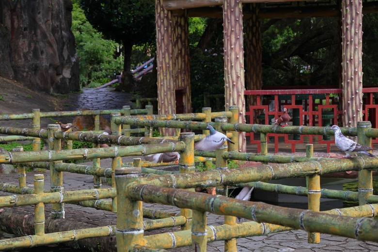 【遊記】第二章，誰說到「國立故宮博物院」一定要看「文物」，雙溪公園 - 大漠國渡