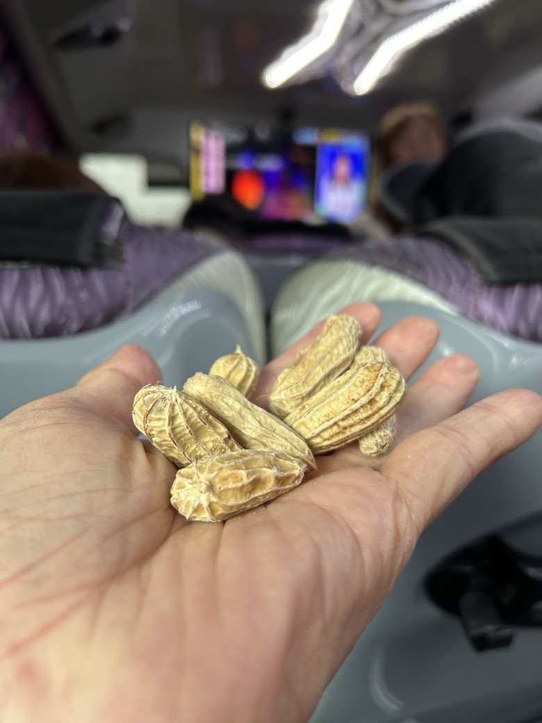 海鼠山、1314愛心觀景台、瑞峰龍宮瀑布、外傘頂洲，六和高工汽修科同學會，休閒旅遊活動