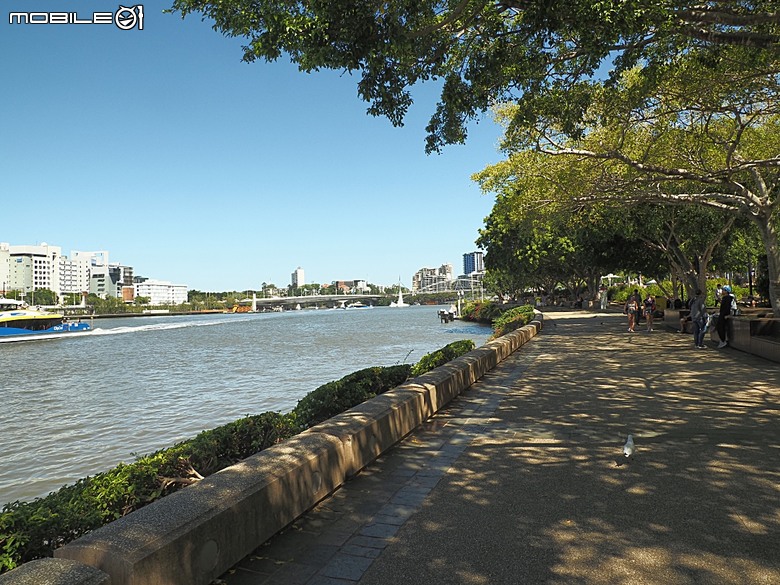 布里斯本南岸公園、袋鼠角、市政廳、博物館、喬治王廣場，附掛中式合菜料理晚餐BRISBANE PHOENIX — 2026東澳洲四大城巡遊之布里斯本段