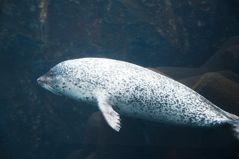 2026 北海道12天小蜜月 (中)『美瑛 & 旭川自駕遊』