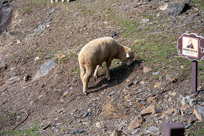 小旅行 with Nikon ZR