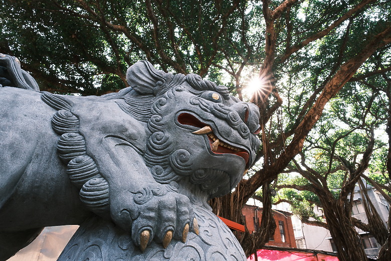 Sigma 15mm F1.4 DC Contemporary 評測報告｜黃金視角與極致輕巧的完美結合 ft. X-E5