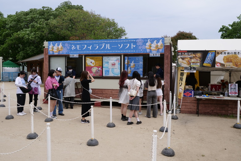 国営ひたち海浜公園 足利花卉公園 一日雙園行