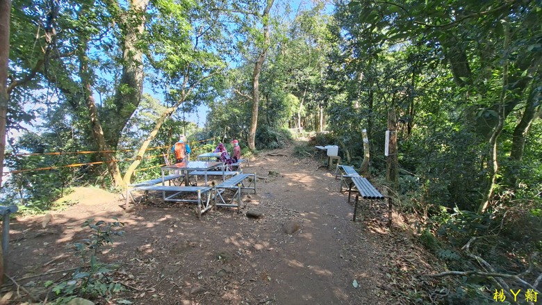 【台灣小百岳】溪洲山、 新溪洲山、大溪月眉落羽松正當時