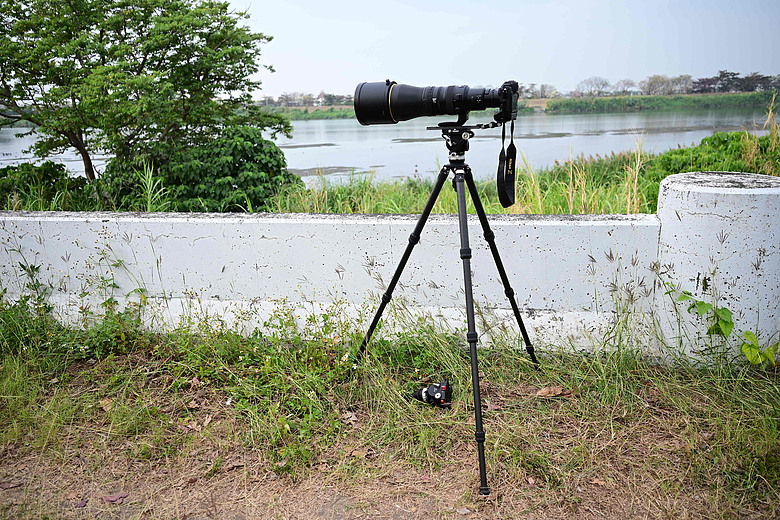 馬小路Marsace SV-35 Pro雲台到處開箱，記錄了東港溪鴻雁、斑點鶇、白琵與黑琵、翻石鷸、灰斑鴴、金斑鴴、中杓鷸、綠簑鷺、小彎嘴及紅嘴黑鵯。