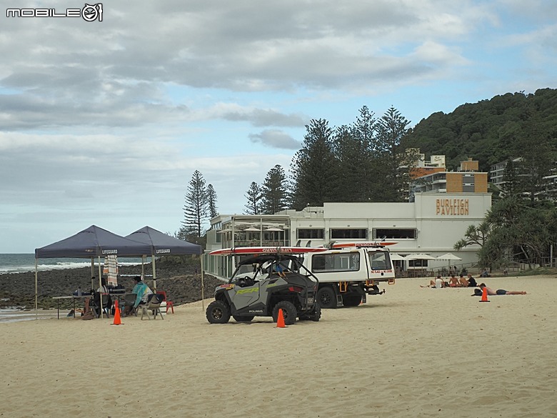 黃金海岸之庫倫濱野生動物園 (Currumbin Wildlife Sanctuary)、伯利角沙灘 (Burleigh Beach Cove)、大嘴鳥餵食秀(Pelican Feeding),附掛澳式炸魚餐與越南河粉料理 — 2026東澳洲四大城巡遊之黃金海岸段 第1部
